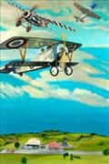 OOP-Air Show